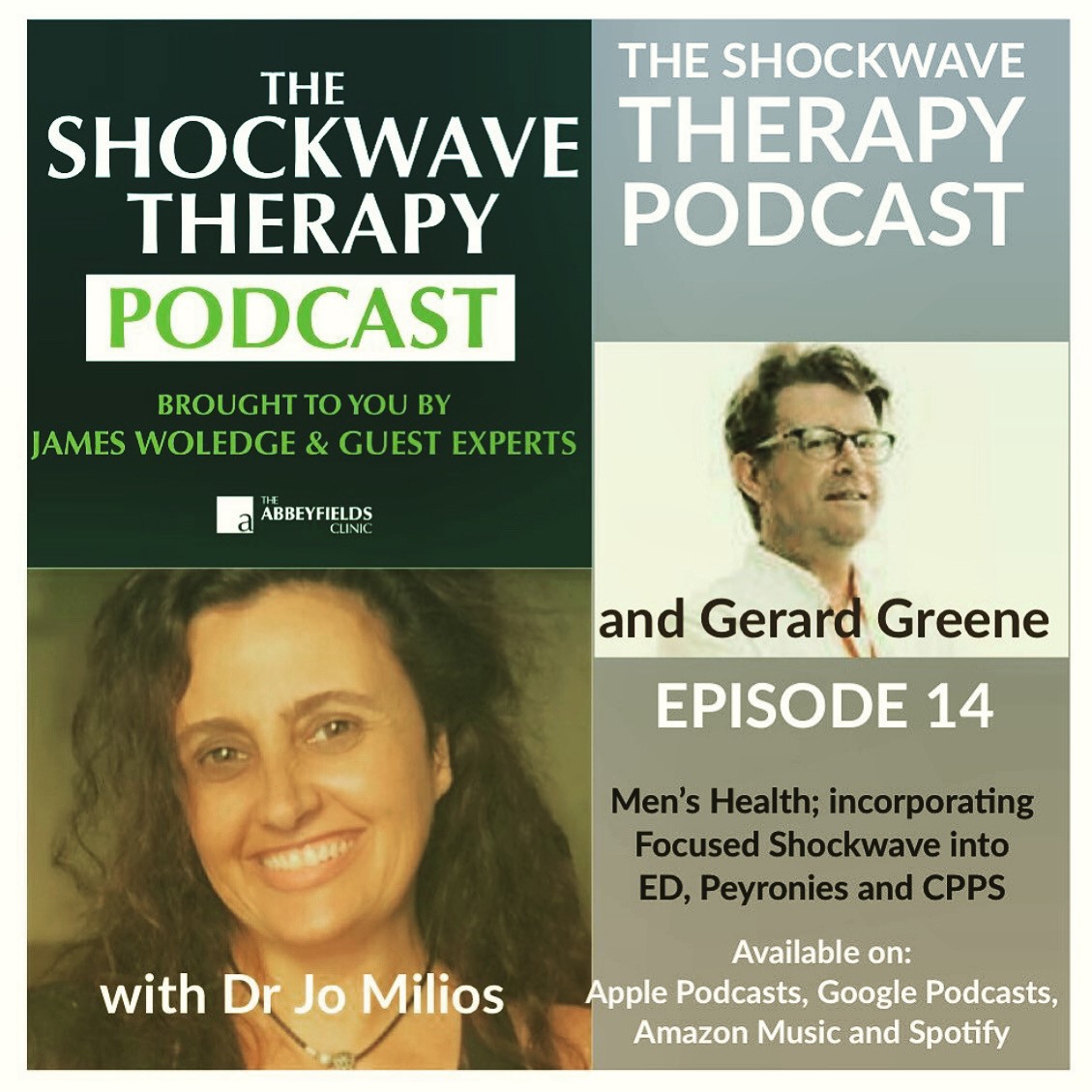 image for Shockwave Therapy: Incorporating Focused Shockwave 